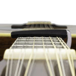 Daddario Accessories PW-CP-19S