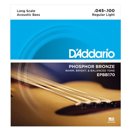 D'Addario EPBB170 Phosphor Bronze Acoustic Bass Strings, Long Scale, 45-100