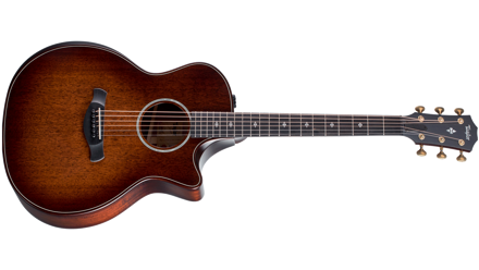 Taylor Builder's Edition 324ce