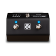 Ampeg AFS2