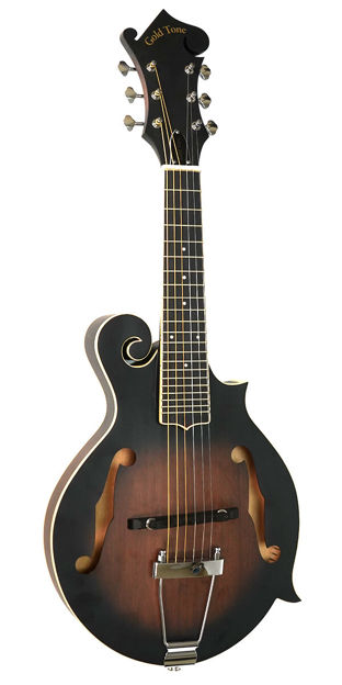 Gold Tone F-6 F-Style 6-String Guitar Mandolin