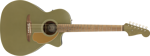 Fender Newporter Player