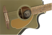 Fender Newporter Player