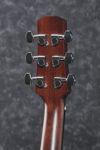 Ibanez AAD300CE-LGS