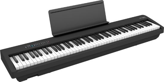 Roland FP-30X-BK 