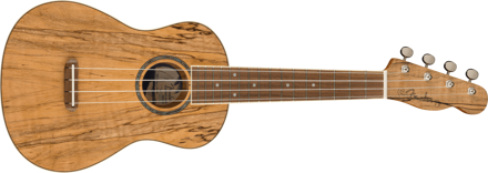 Fender ZUMA EXOTIC CONCERT UKULELE