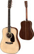 Eastman E40D-TC, Dreadnought