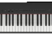 Yamaha P-225B