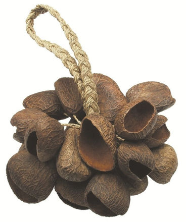 Toca Shaker Seed Shell  - T-SS