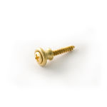 Gibson Gear Strap Buttons (Brass) (2 pcs.)