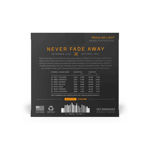 Daddario Fretted XTE1059