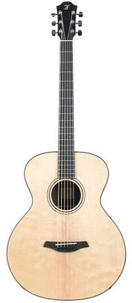 Furch Blue BAR-SW LR Baggs EAS-VTC - Gigbag Furch