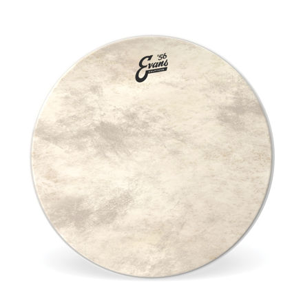 Evans Calftone Bass Drum Head, 24 Inch