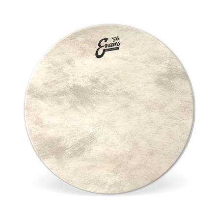Evans EQ4 Calftone Bass Drum Head, 24 Inch