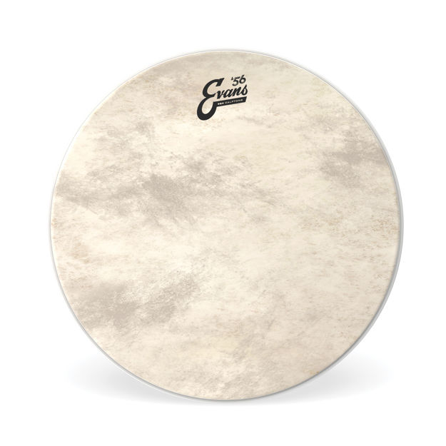 Evans EQ4 Calftone Bass Drum Head, 24 Inch