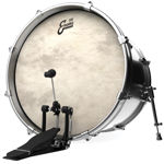 Evans EQ4 Calftone Bass Drum Head, 24 Inch