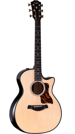 Taylor Builder’s Edition 314ce LTD (Natural Top) 50th Anniversary