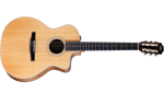 Taylor 214ce-N Walnut/Sitka