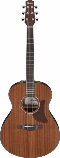 Ibanez AAM54-OPN