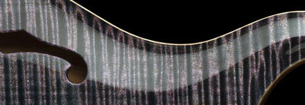 PRS SPECIAL S/H PURPLE IRIS