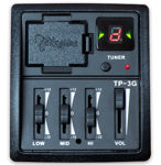 Takamine GLD11E NS Dreadnought