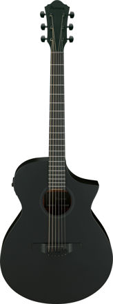 Ibanez AEWC621-BOT