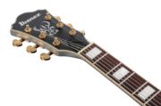 Ibanez AS73G-MSF