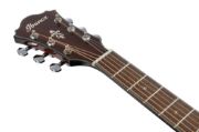 Ibanez AE160-VMS