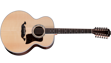 Taylor Legacy 855e