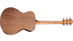 Taylor Academy 12e,Walnut/Spruce