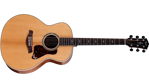 Taylor Gold Label 814e