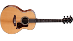 Taylor Gold Label 814e