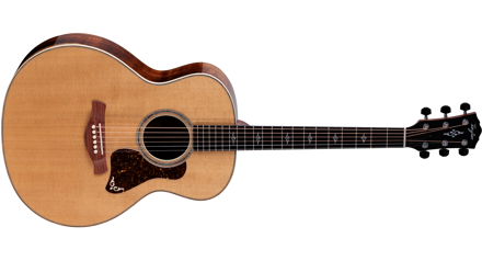 Taylor Gold Label 814e Koa