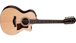 Taylor 354ce 12  String