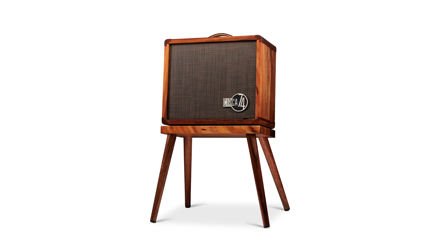 Taylor Circa 74 2-in-1 Acoustic Guitar/Vocal Amplifier + Amp Stand