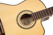 Ortega RCE145NT Family Pro Series Nylonstrengsgitar m/ Mic