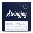 Stringjoy BAL0922 Signatures 12-string - Super Light - 9-42