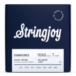 Stringjoy BAL107 Signatures 7 String - Light - 10-60