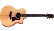Taylor 14ce