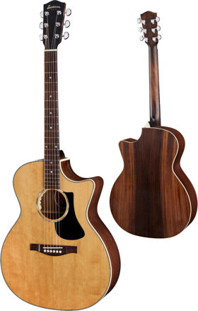 Eastman PCH2-GACE Natural