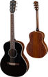 Eastman PCH2-TG Black