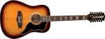 Eko Guitars RANGERVR12 HB