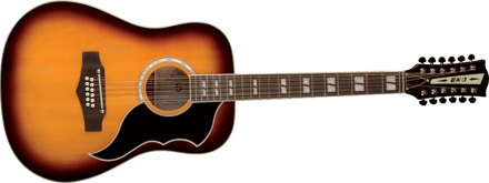 Eko Guitars RANGERVR12 HB