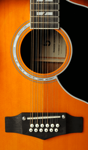 Eko Guitars RANGERVR12 HB
