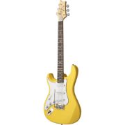 PRS SE Silver Sky Lefty Dandy Lion