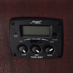 Morgan W 103 CE GA VSB