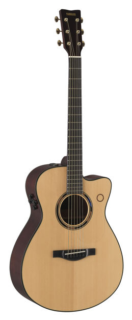 Yamaha TAS3C Transacoustic Natural