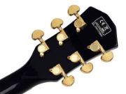Sire H7 Series Larry Carlton Electric Archtop Guitar Black