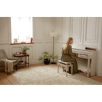 Casio AP-750 GB Smart Hybrid Celviano