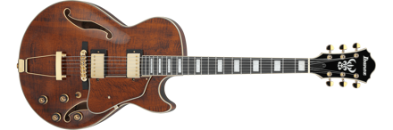 Ibanez AG95MG-DA elgitar Artcore Expressionist